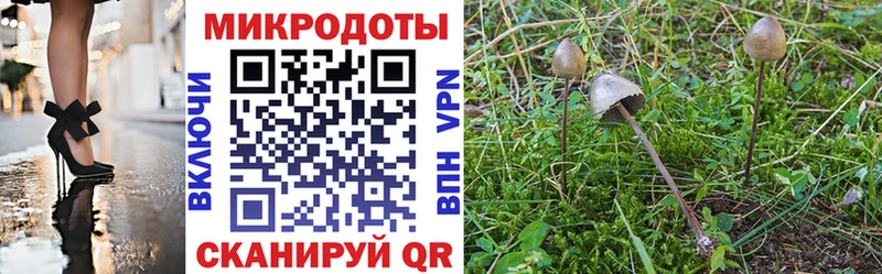 цена   Кувандык  Псилоцибиновые грибы мухоморы 